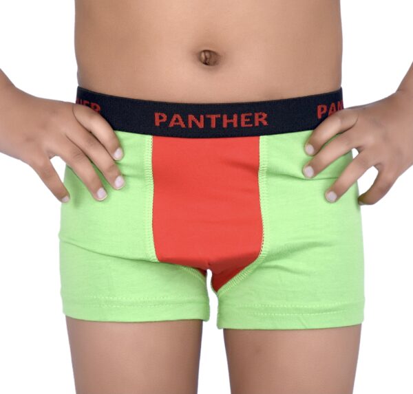 Panther Boy's Colored Crotch 2 PK