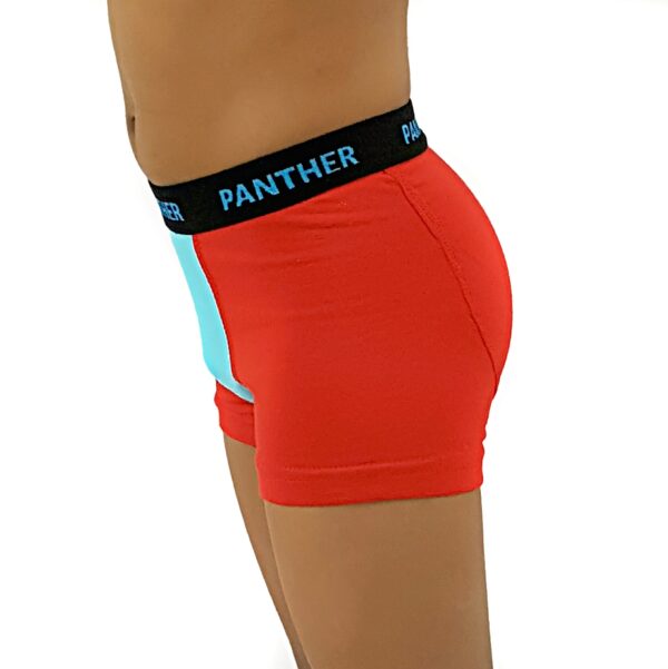 Panther Boy's Colored Crotch 2 PK - Image 3